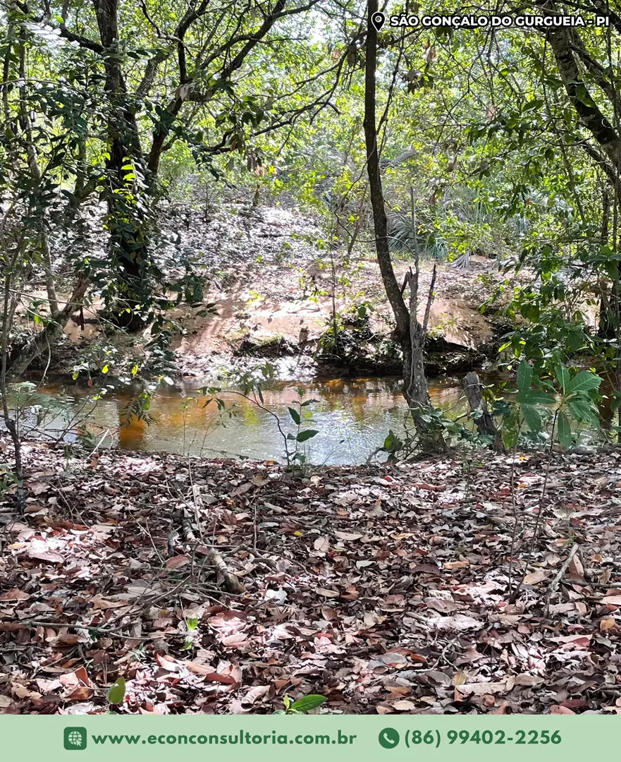 Equipe realiza viagem técnica para inventários florestais no sul do Piauí